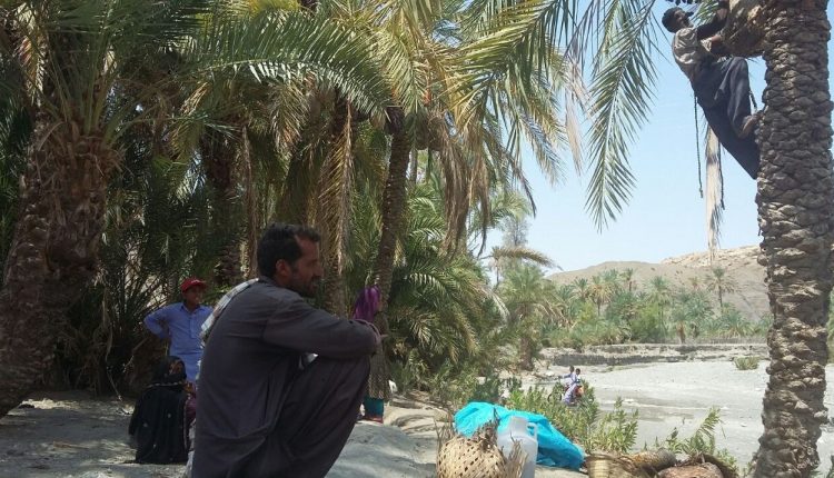 آبفا