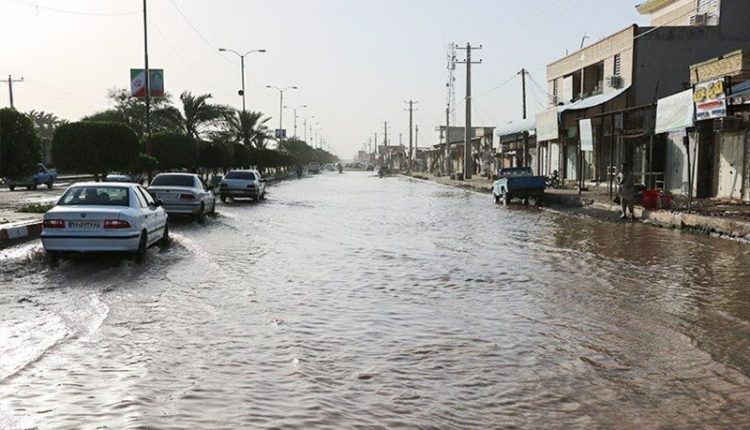 عکس تزیینی است